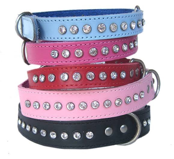Dog Collars, Leads, Harnesses & Car Safety Equipment
